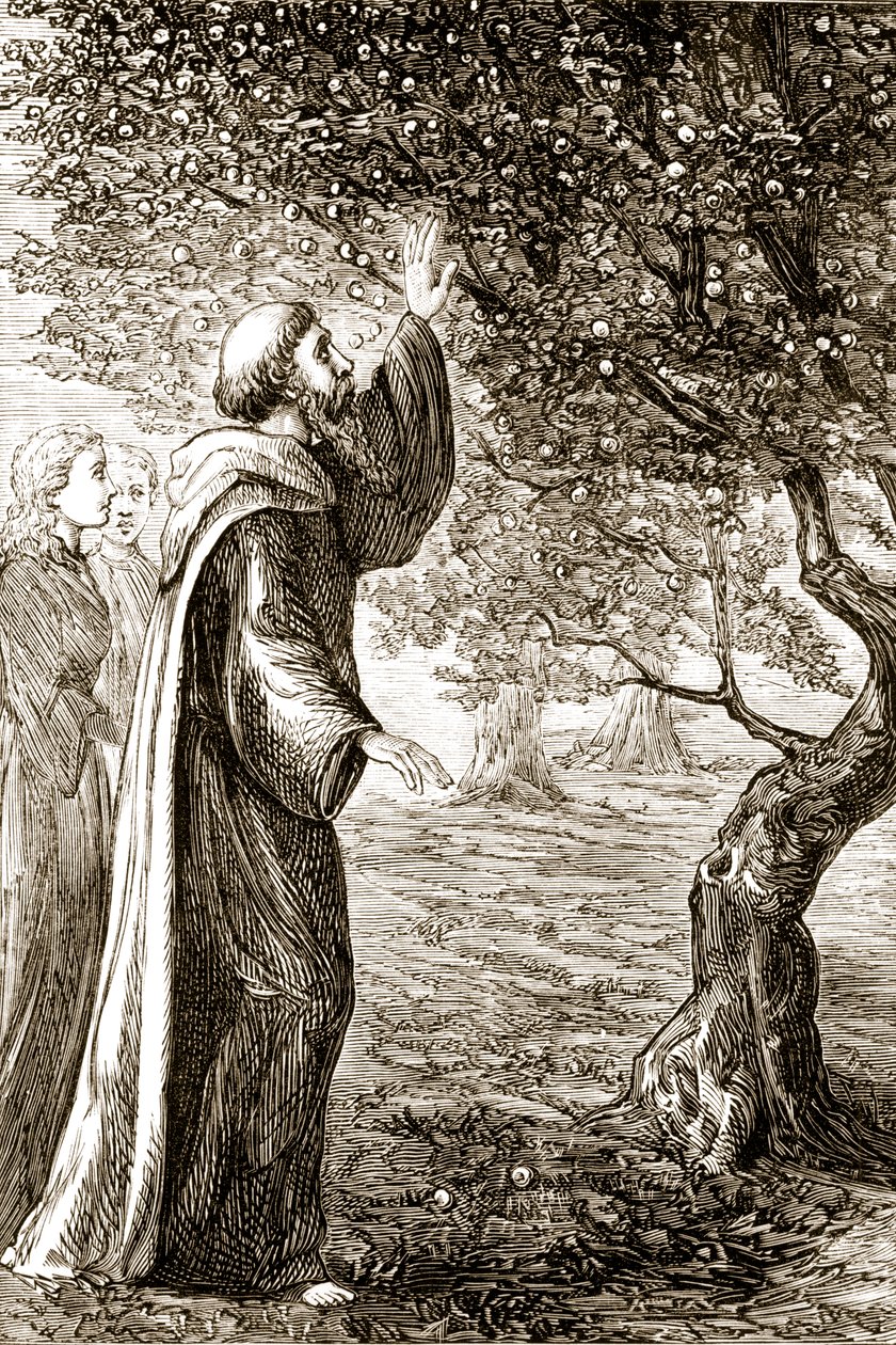 St. Columba Changes Bitter Fruit into Sweet, from The Trias Thaumaturga, or Three Wonder-Working Saints of Ireland, by Mary Cusack (1829-99) Published c.1890s by Irish School