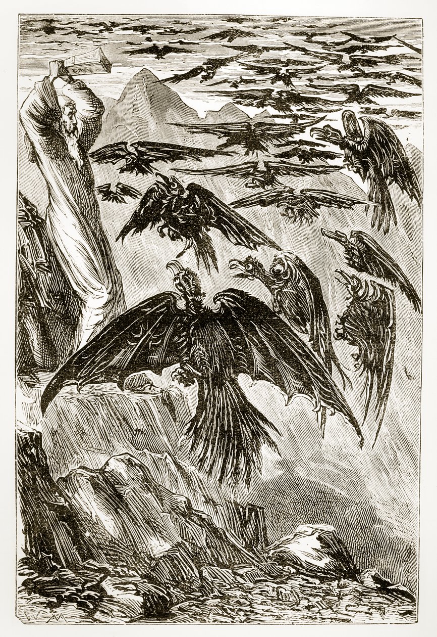 St. Patrick and the Demon Birds, from The Trias Thaumaturga, or Three Wonder-Working Saints of Ireland, by Mary Cusack (1829-99) Published c.1890s by Irish School