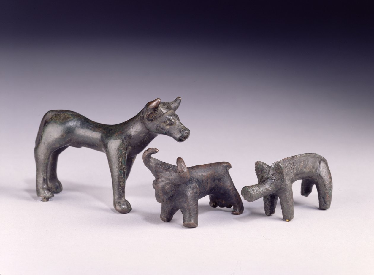 Two bulls, from Hungary and a boar, from Gower Cave, Rhossilly, South Wales, Iron Age by Iron Age
