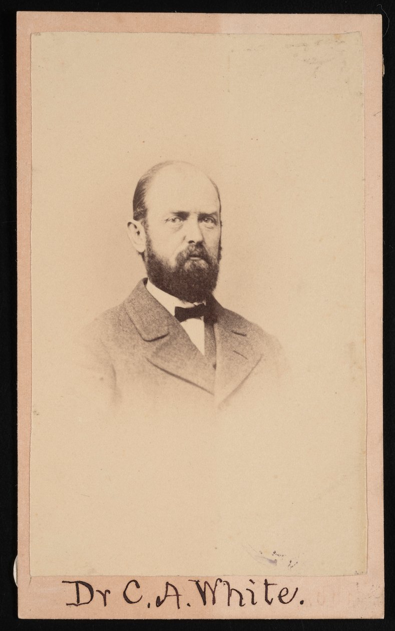 Portrait of Charles Abiathar White 1826-1910, 1868 by Isaac Augustus Wetherby