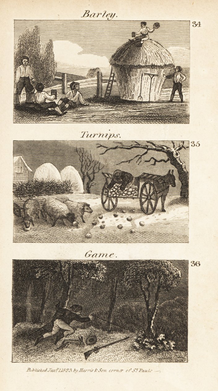 Trades in Norfolk, Regency England by Isaac Taylor