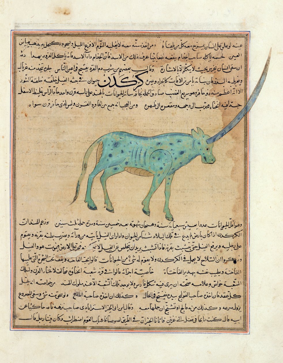Rhinoceros, illustration from 
