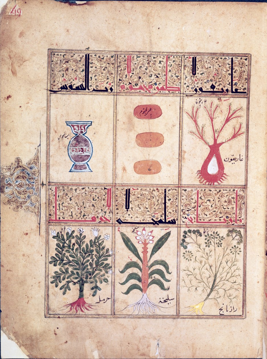 Plants from the Treatise of Theriac after Galen, 1217 by Islamic School