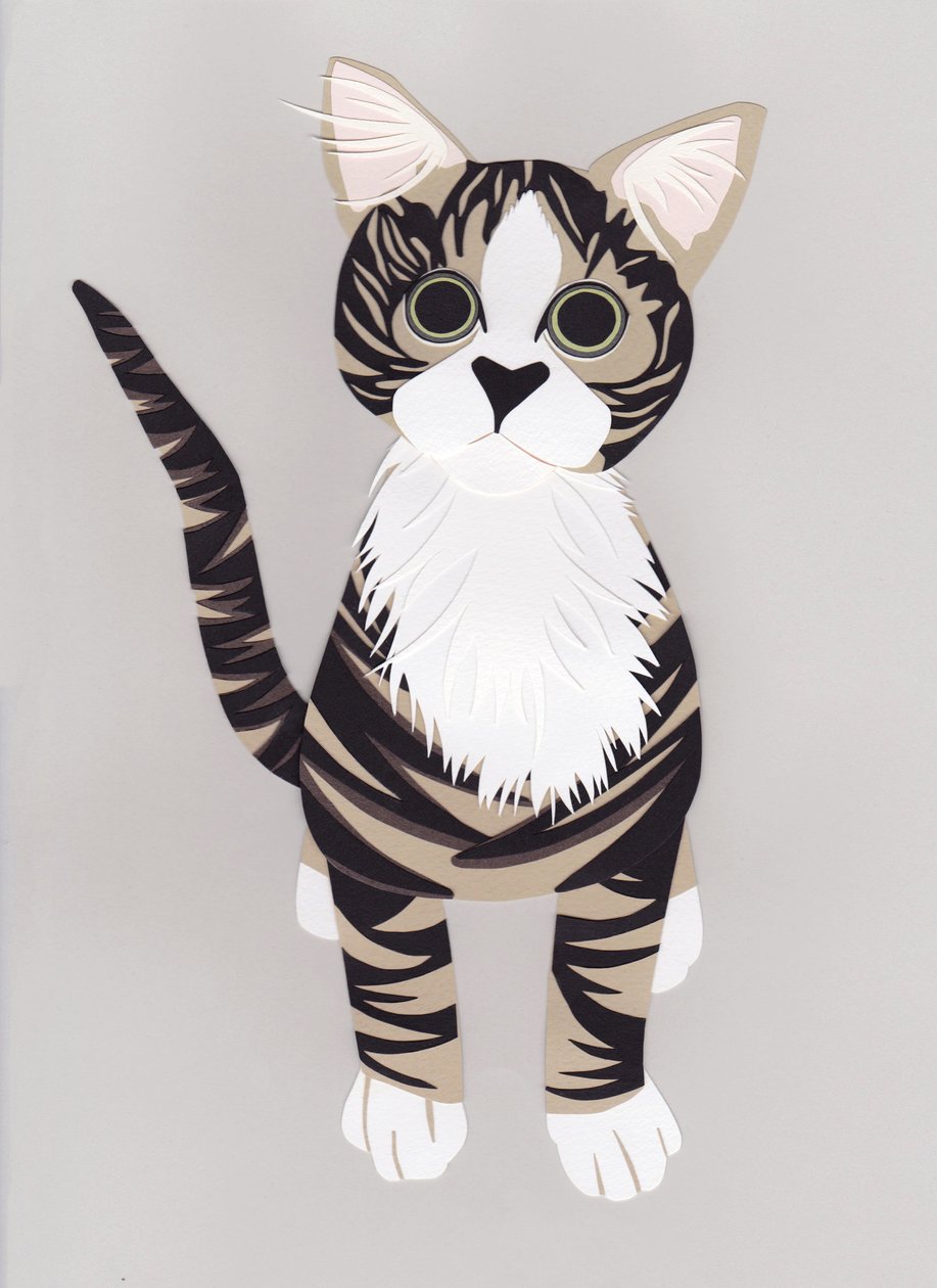 Pussycat, 2016 by Isobel Barber