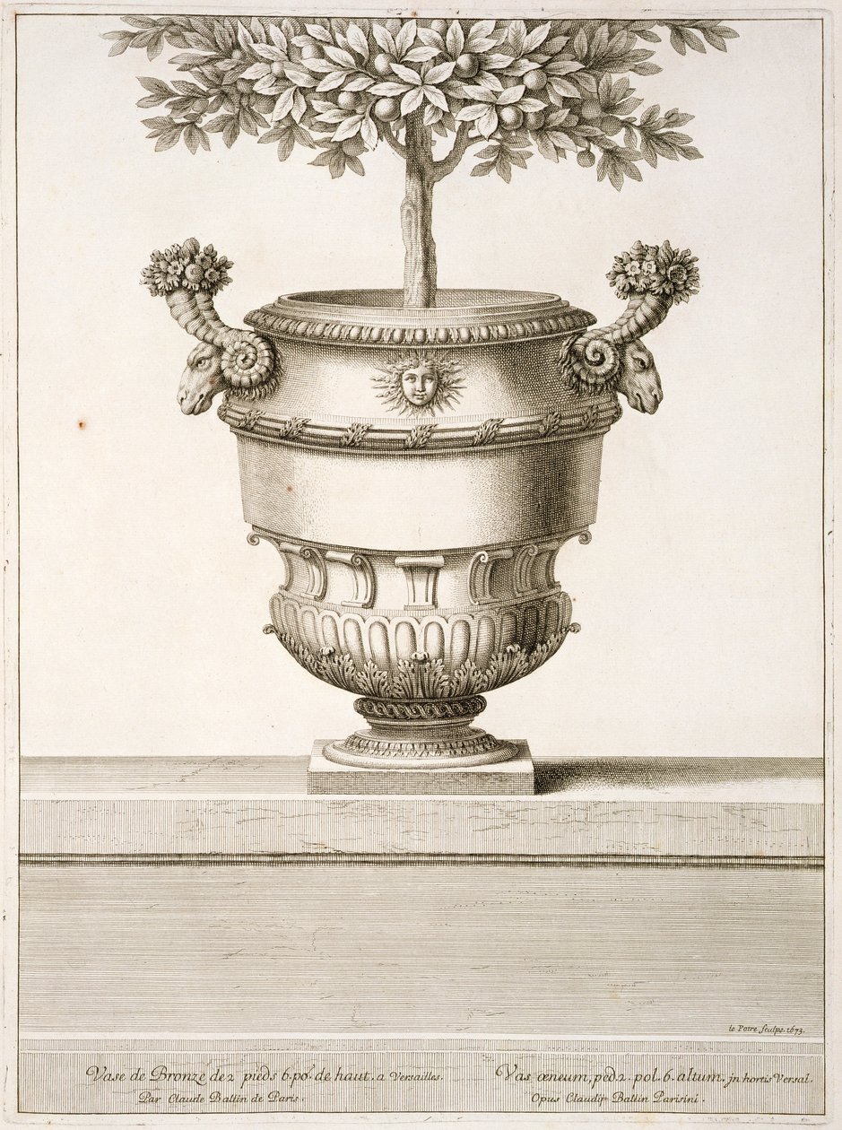 Bronze urns as used for citrus trees, illustration from 