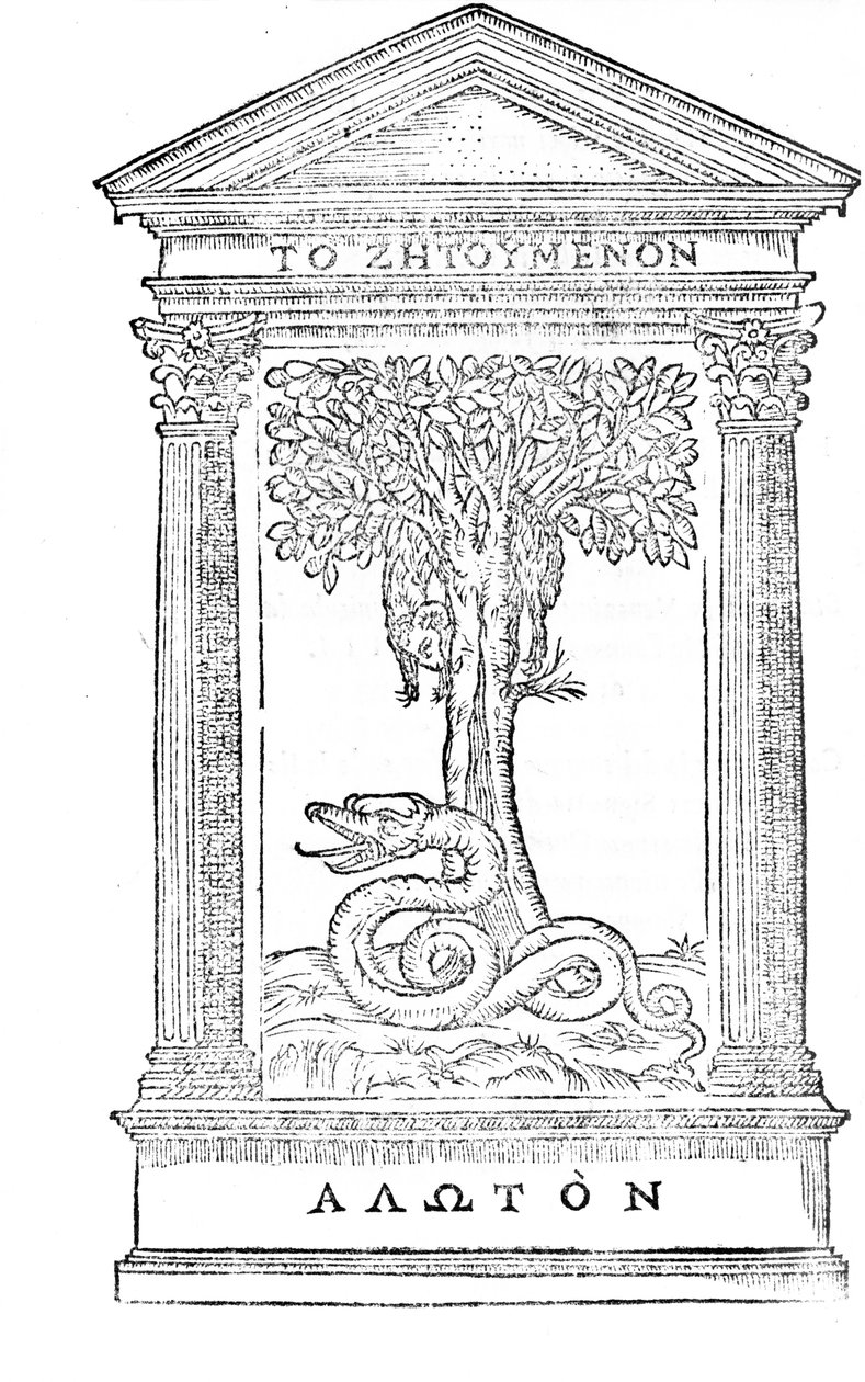Illustration from 