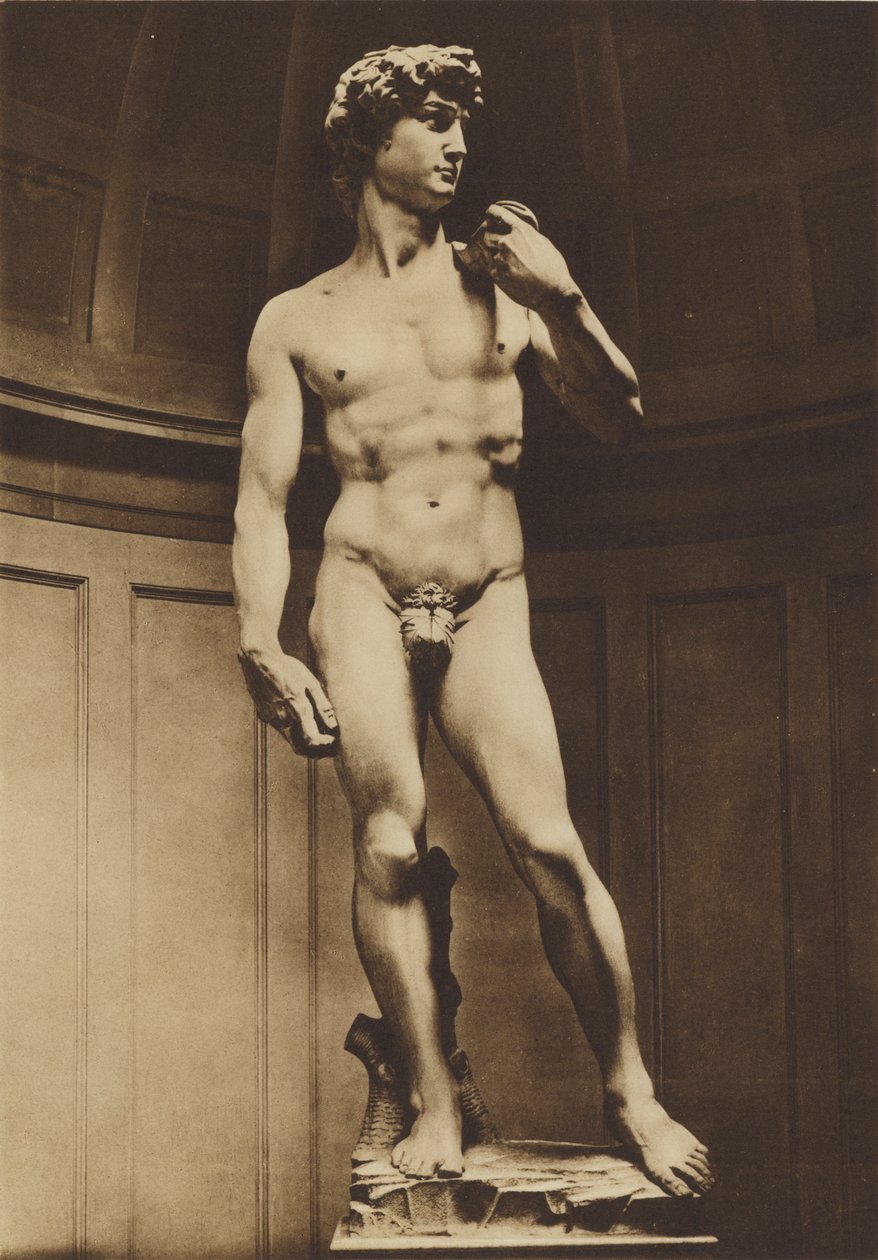 Florence: David by Michelangelo by Italian Photographer