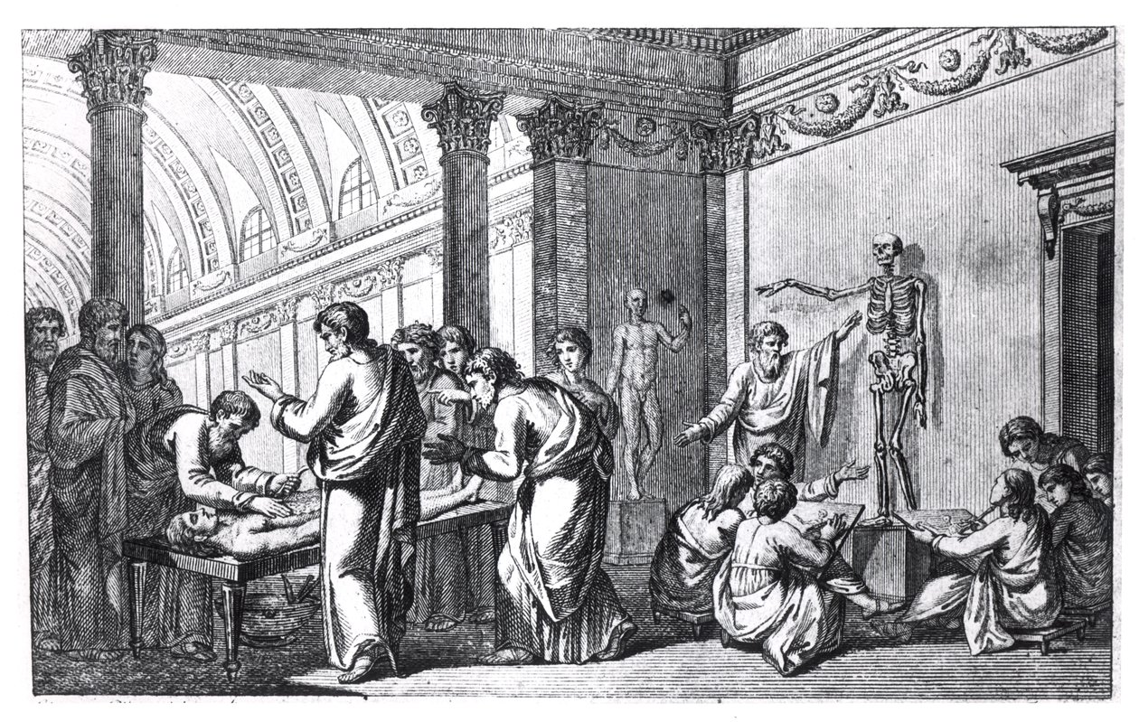 A School of Anatomy in Antiquity, from Tabulae Anatomicae by Pietro Berrettini da Cortona (1596-1669) published in Rome, 1778 by Italian School