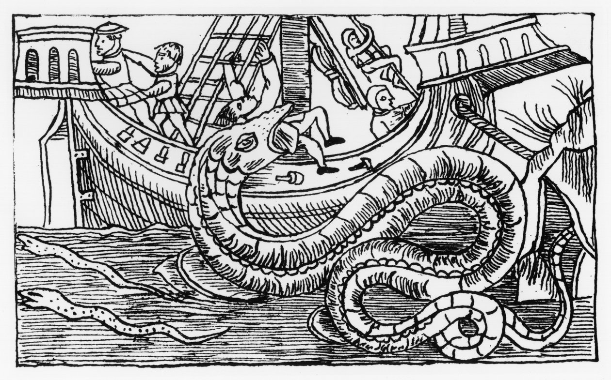 A Sea Serpent, from 