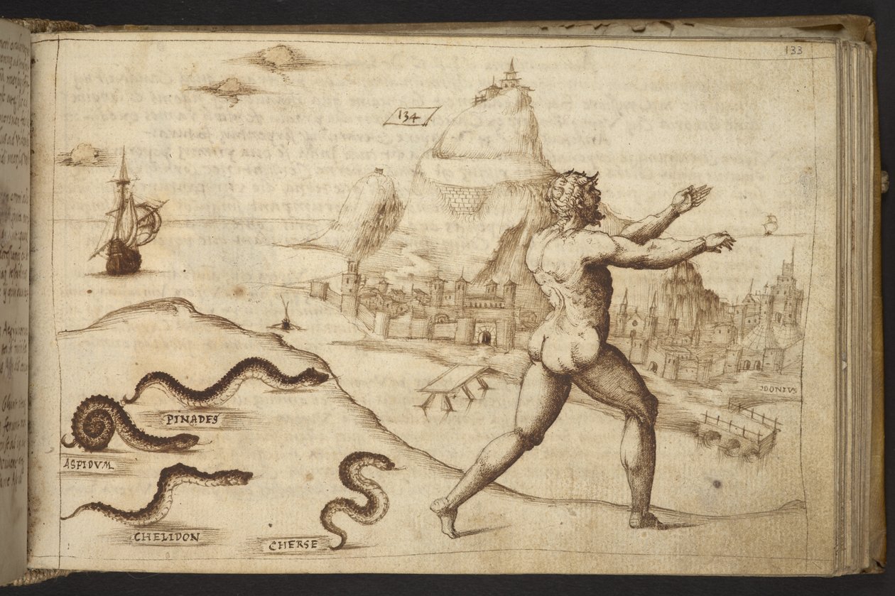 Snakes pursuing a human figure, from Historia Animalium by Italian School