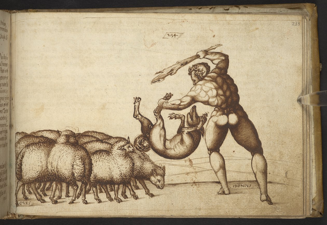 Add. 82955, f.233 Sheep (