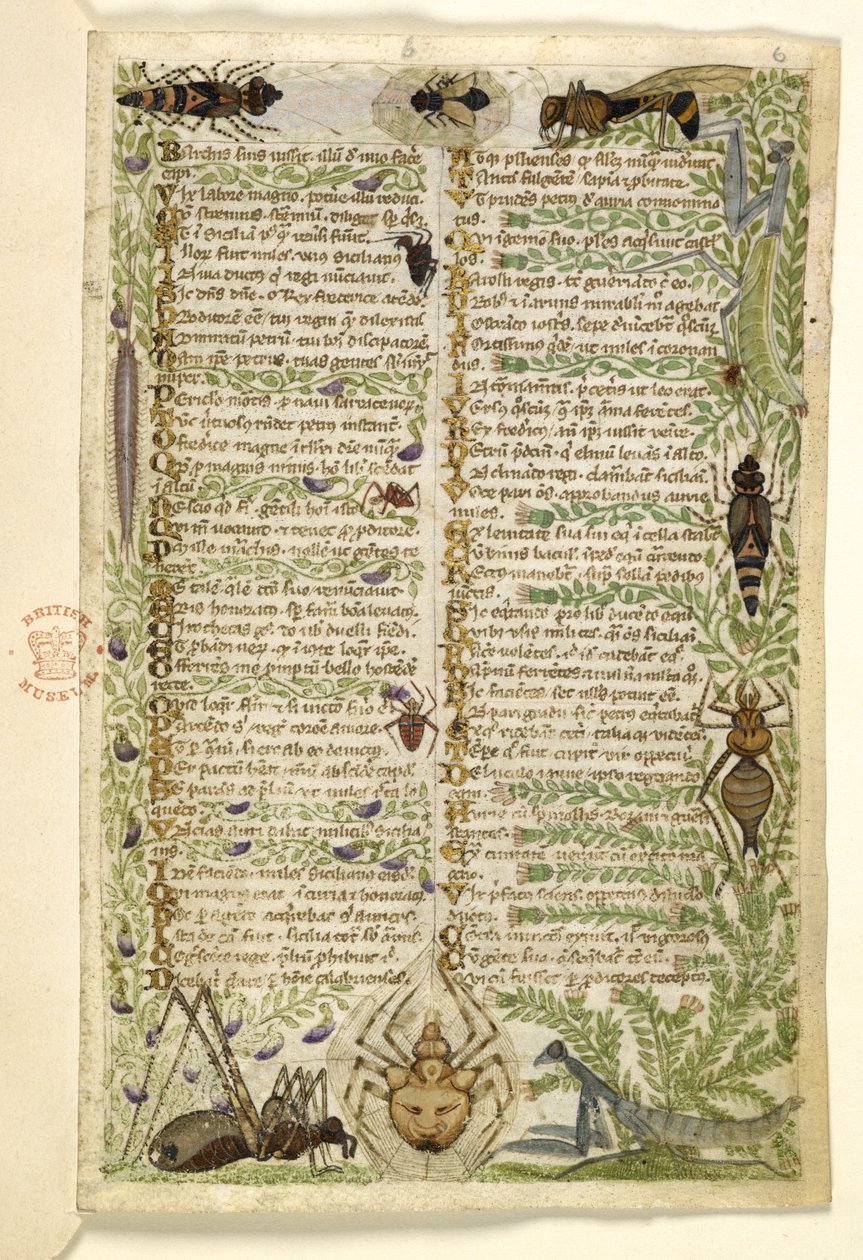 Leaves from a prose treatise on the Seven Vices and a verse on events from the history of Sicily in the time of Frederick II, by Cocharelli, c.1330-40 by Italian School