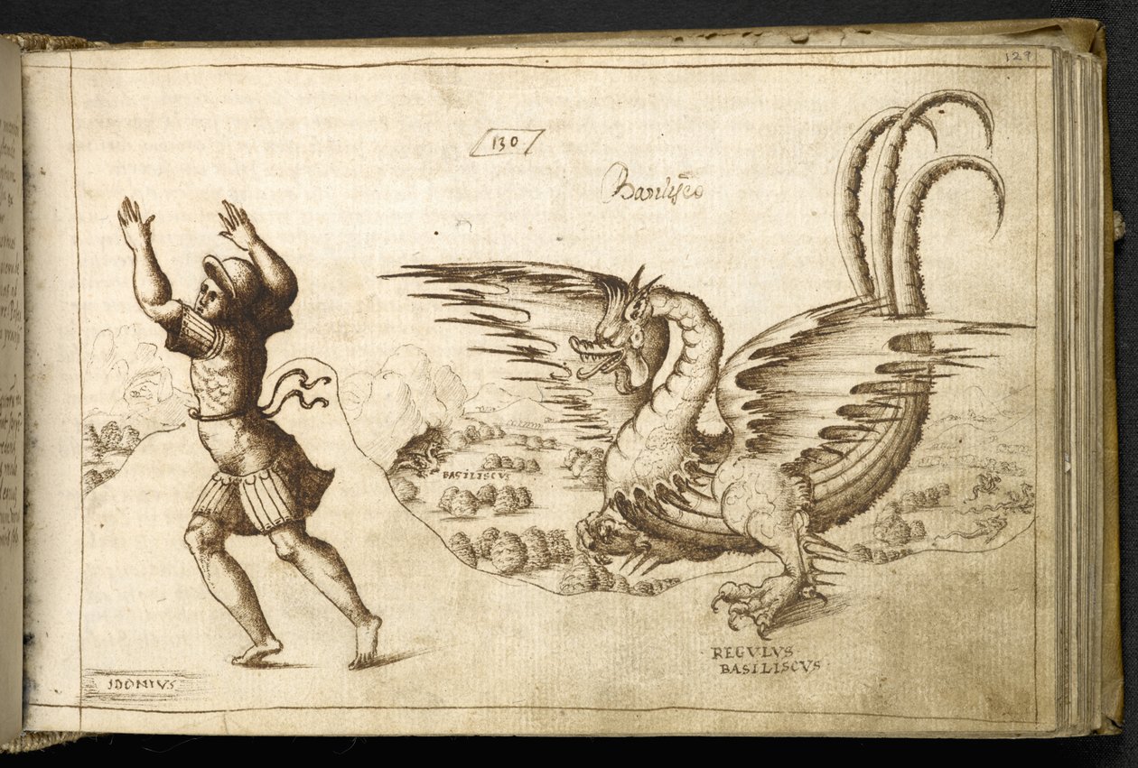 Dragon from Historia Animalium by Italian School