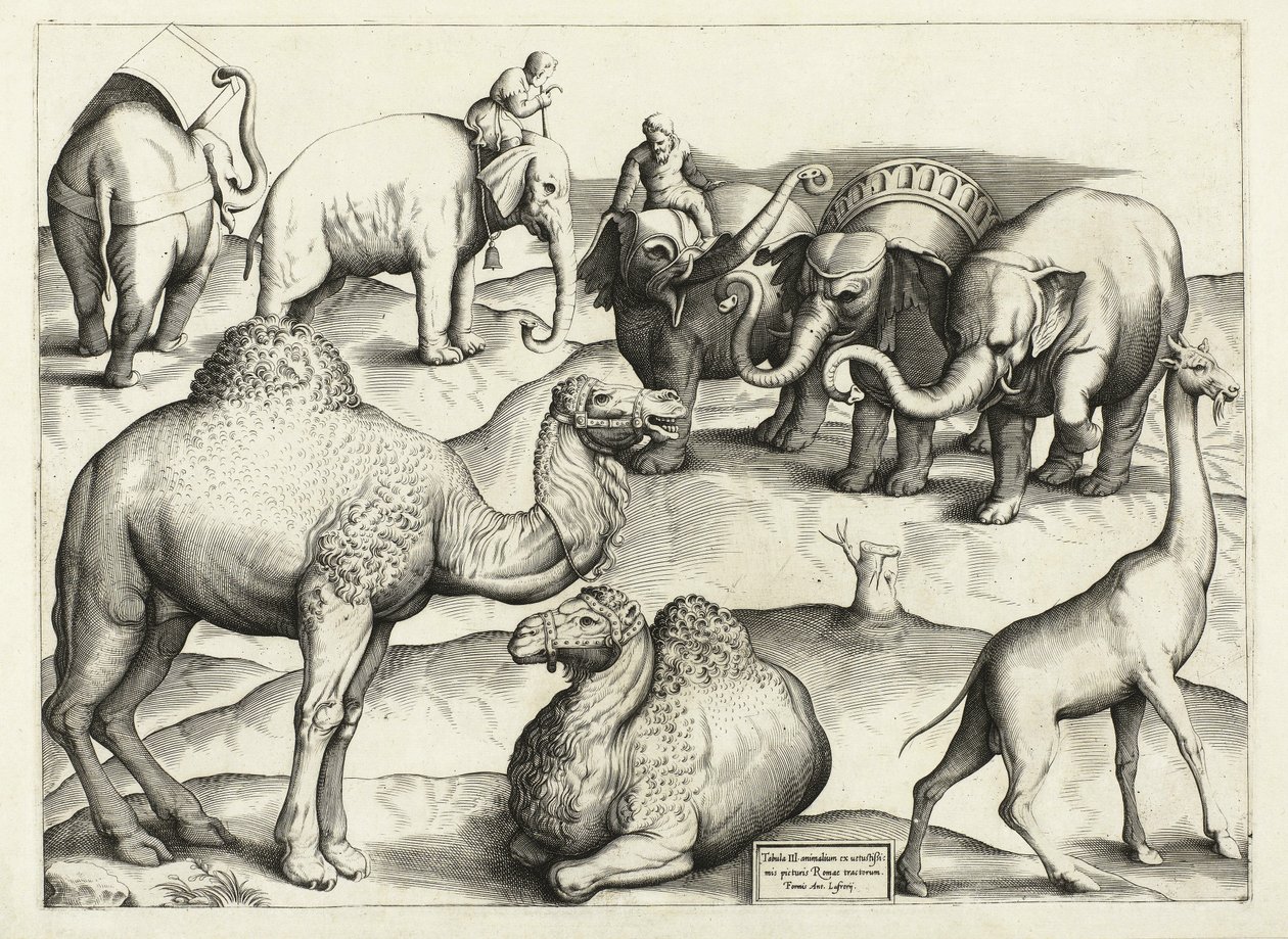 Animal Paintings from Ancient Rome, Table, 3., pub. Antonio Lafrere 1528 by Italian School