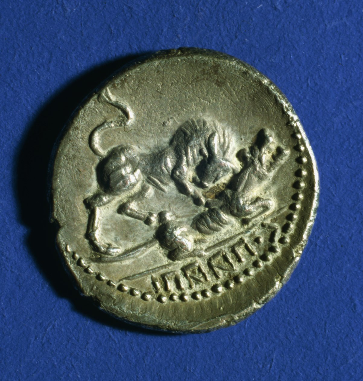 Coin of the Italic Tribes showing a bull attacking the Roman she-wolf, 89-90 BC by Italian School