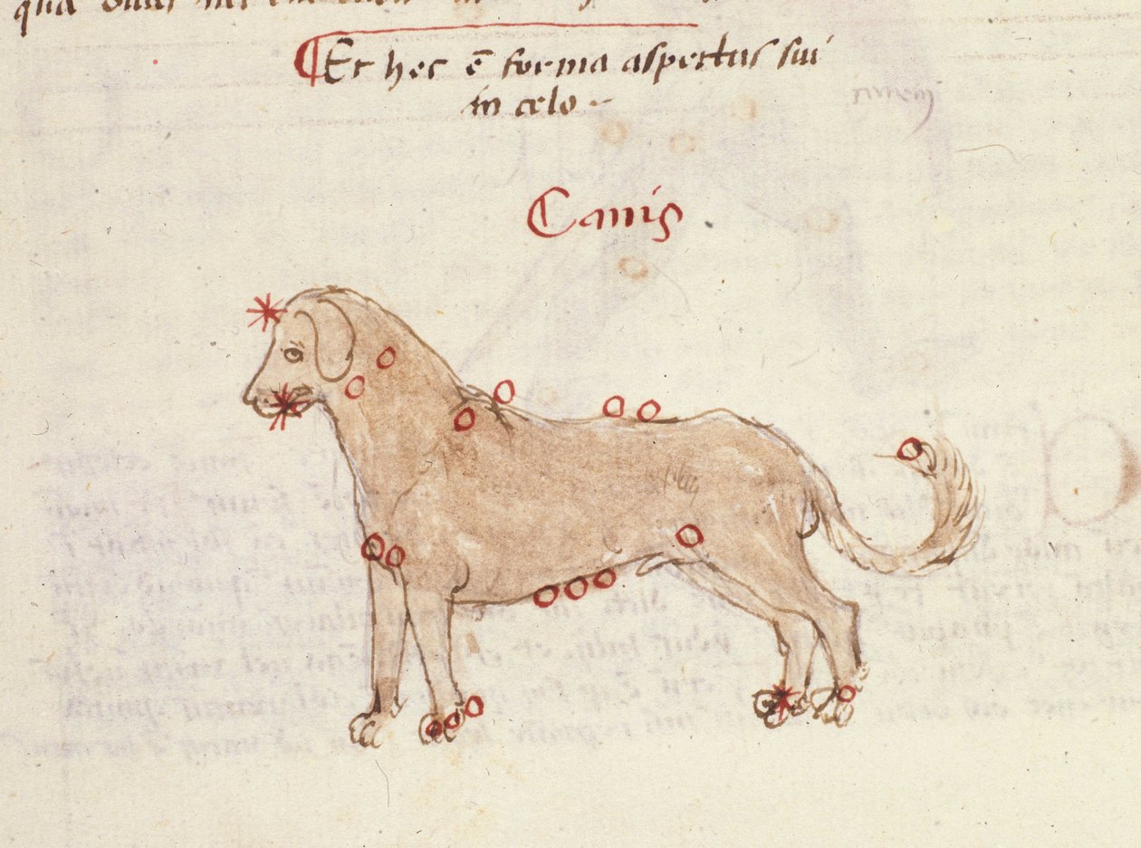 Constellation of the Dog (Canis). Miniature from 