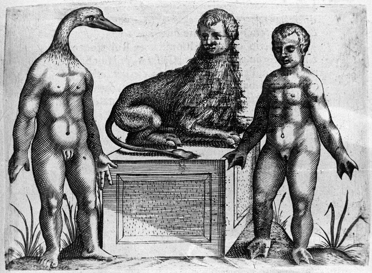 Different types of human monsters: a man with the head of a duck, a man with the body of a lion and another with palm hands. Engraving from 