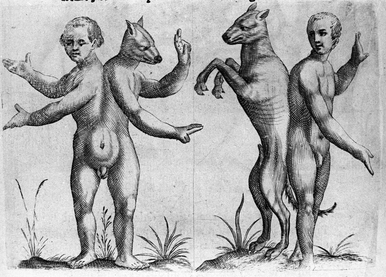 Types Of Half Human Creatures
