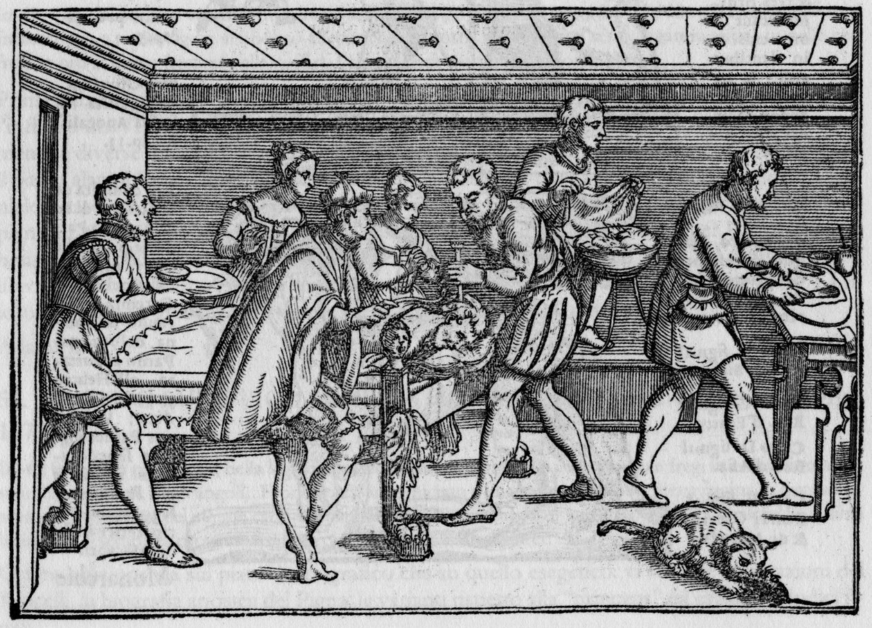 Engraving of 1574 in Della Cirurgia (On surgery) by Giovanni Andrea dalla Croce Italian surgeon. by Italian School