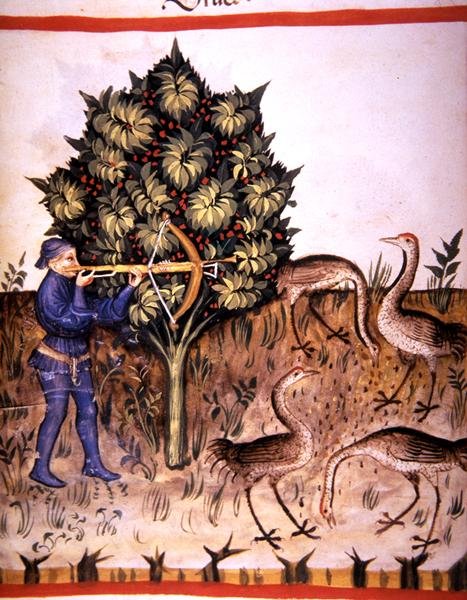 Hunting Crane, illustration from 