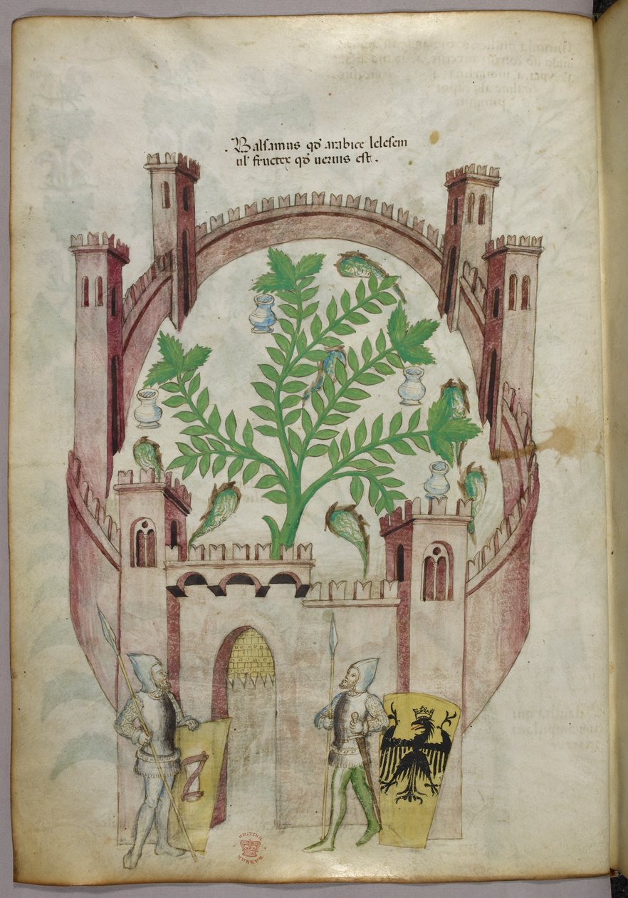 Illustration of the balsam garden of Cairo, with seven pools of water and jars to catch the balsam, a plant in the centre, with two knights in armour flanking the gate, c.1440 by Italian School