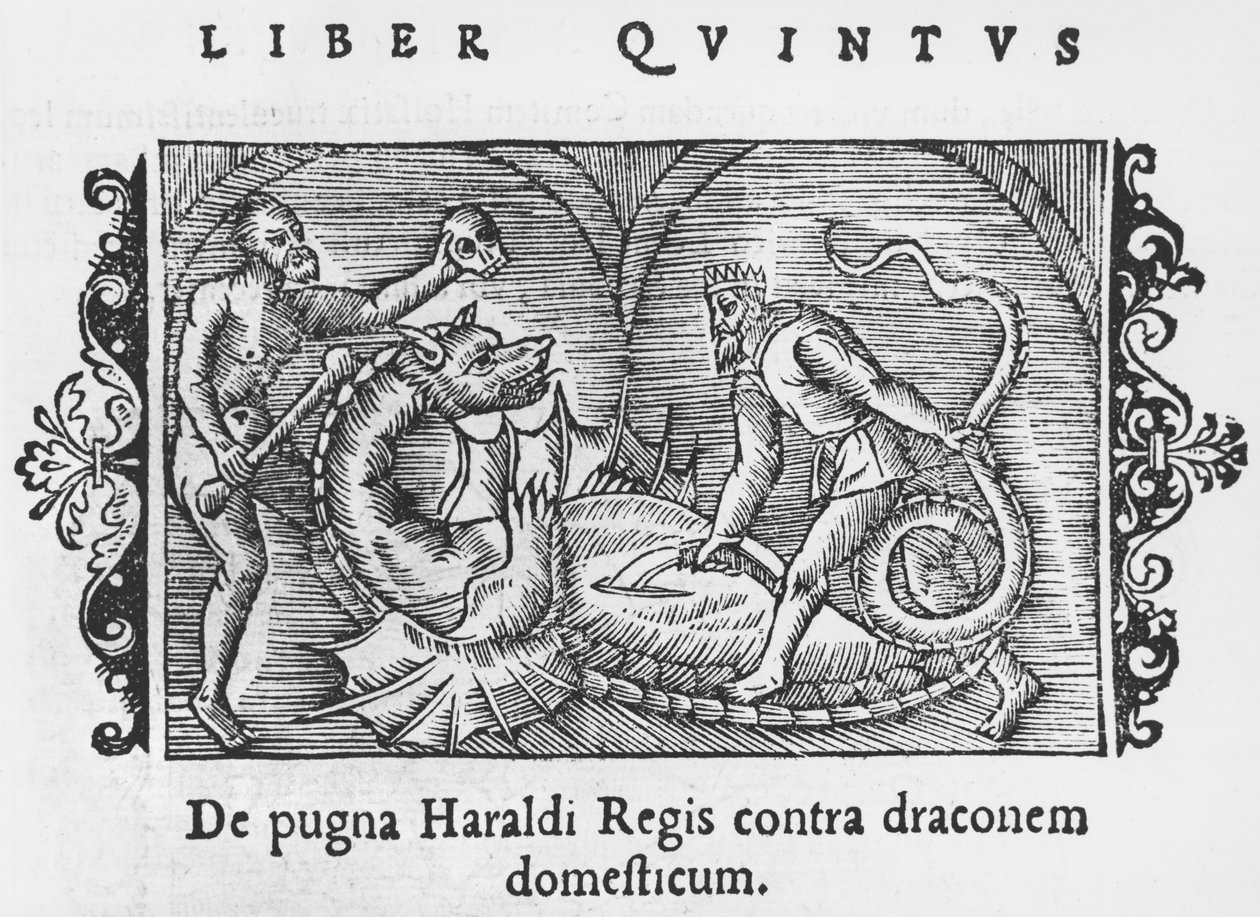 King Harald Fighting a Dragon (illustration from Historia de Gentibus Septentrionalibus by Olaus Magnus, published in Rome, 1555) by Italian School
