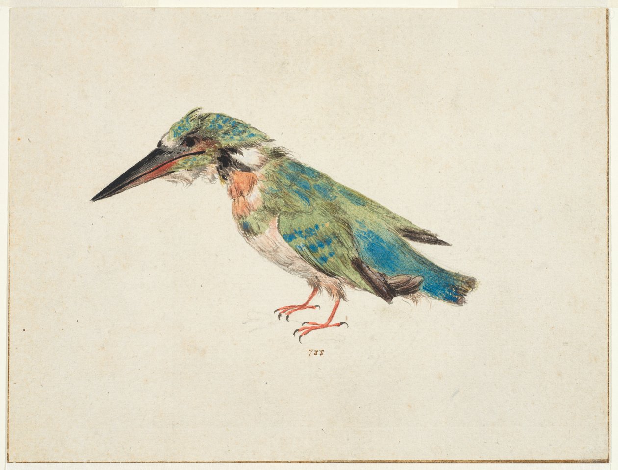 Kingfisher, c.1650-99 by Italian School