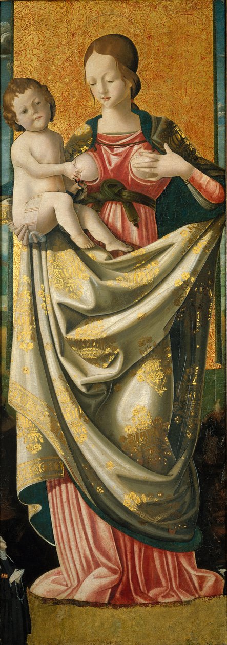 Madonna del Suffragio, c.1520 by Italian School