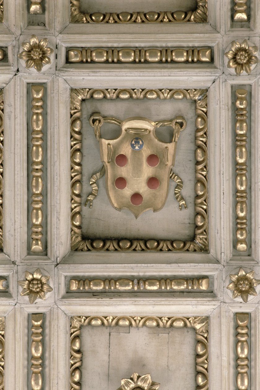 Medici coat of arms, from the soffit of the church by Italian School