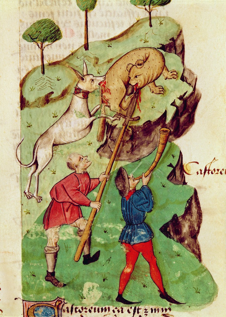 The Hunt, from 