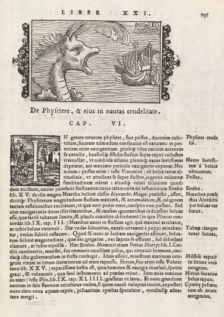 Page 735 from Historia De Gentivus Septentrionalibus by Magnus Olaus, Rome 1565 by Italian School