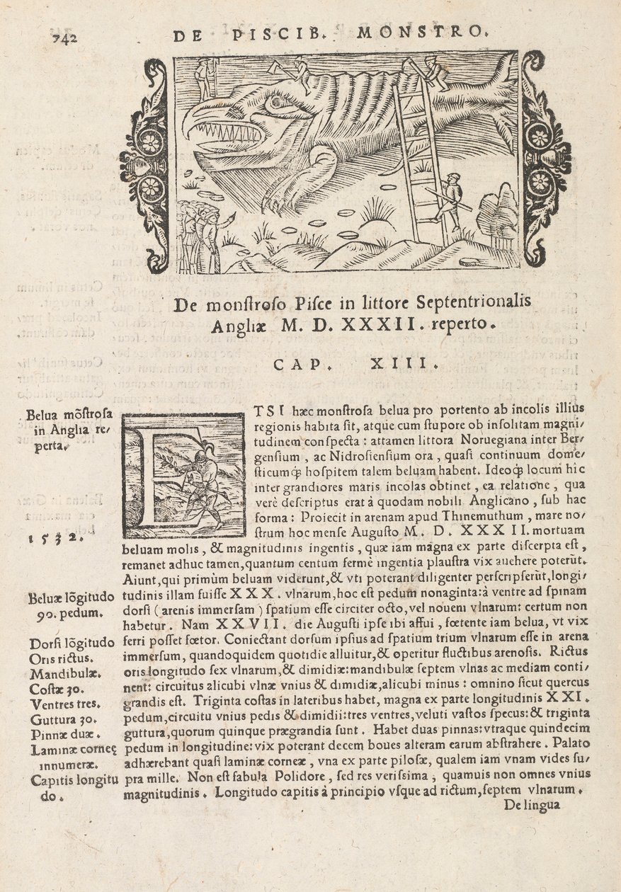 Page 742 from Historia De Gentivus Septentrionalibus by Magnus Olaus, Rome 1565 by Italian School
