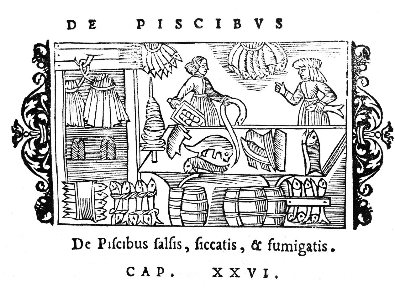 Salting, drying and smoking fish, illustration from Historia de Gentibus Septentrionalibus by Olaus Magnus, published in Rome, 1555 by Italian School