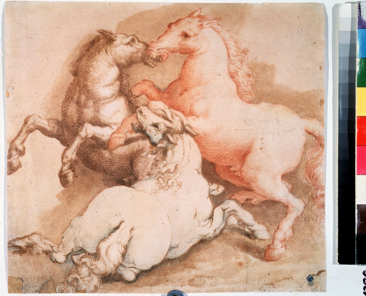 Fighting Horses by Italian School