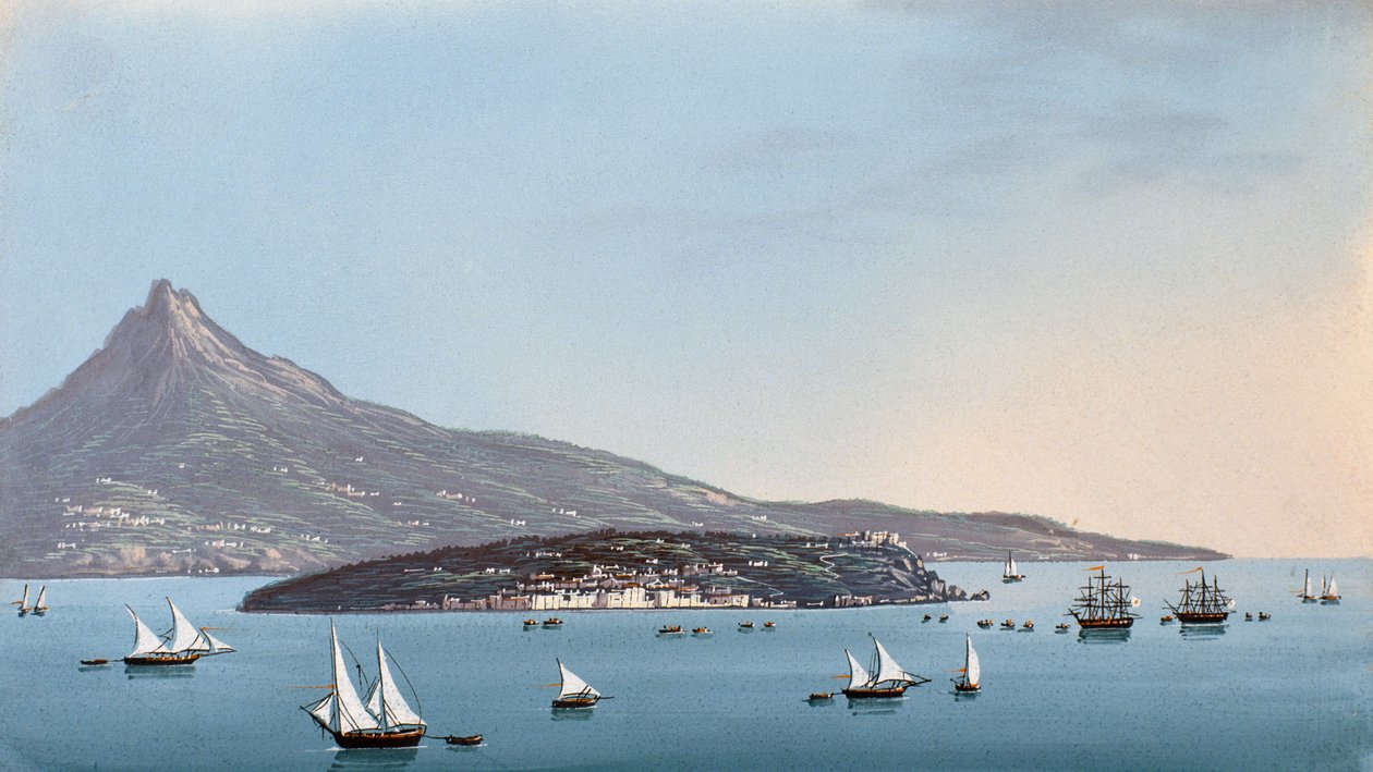 View of Naples by Italian School