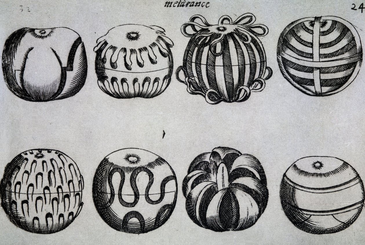 Ways to Chop Fruit, Illustration from Li tre trattati di messer Mattia Giegher bavaro di Mosburc by Italian School