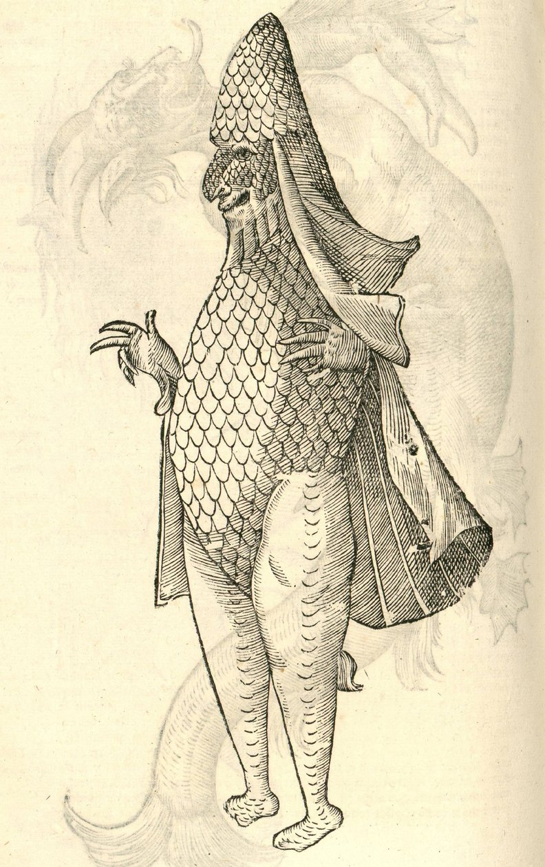Illustration of Monstrum Marinum rudimenta habitus Episcopi referens from Aldrovandi