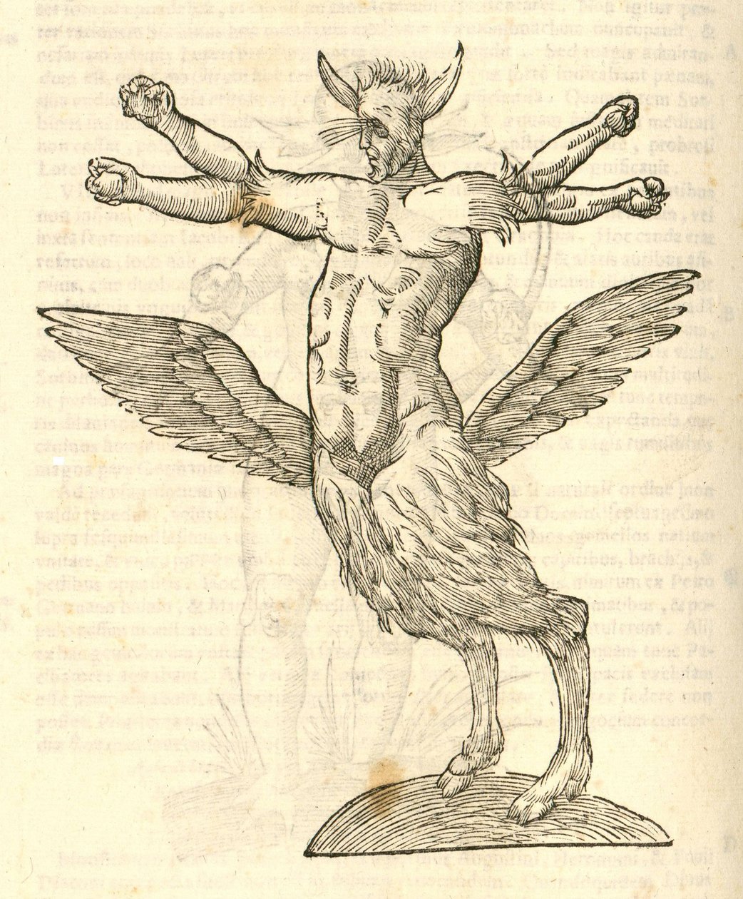 Illustration of Monstrum tetrachiron alatum capite humano aurito from Aldrovandi