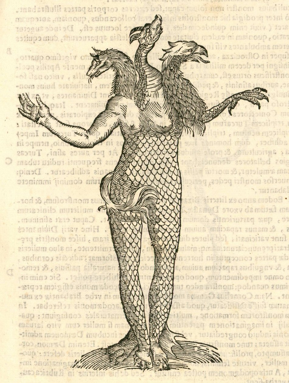 Illustration of Monstrum triceps capite Vulpis, Draconis, & Aquilae from Aldrovandi