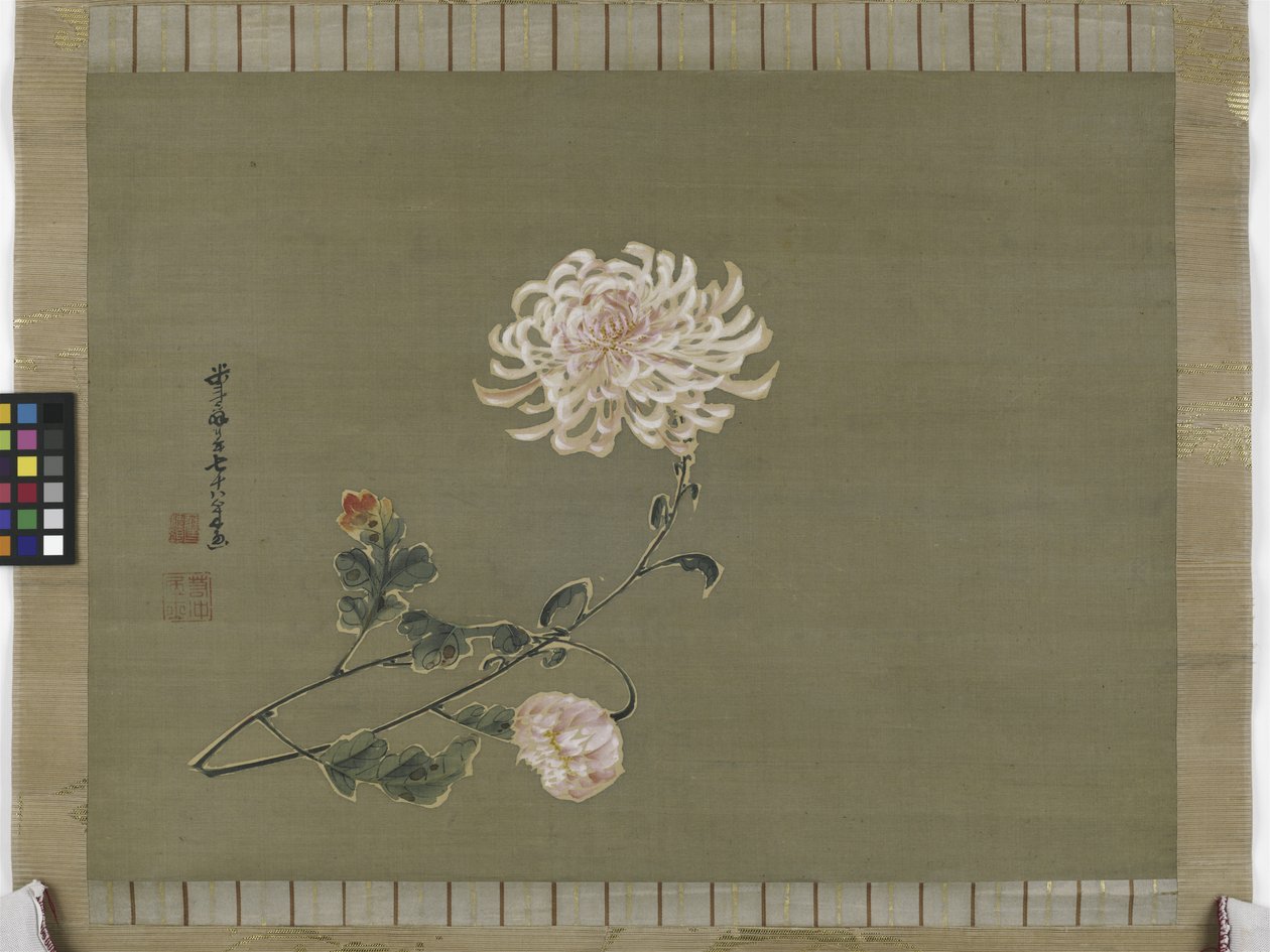 Chrysanthemum, Edo Period, 1791 by Ito Jakuchu