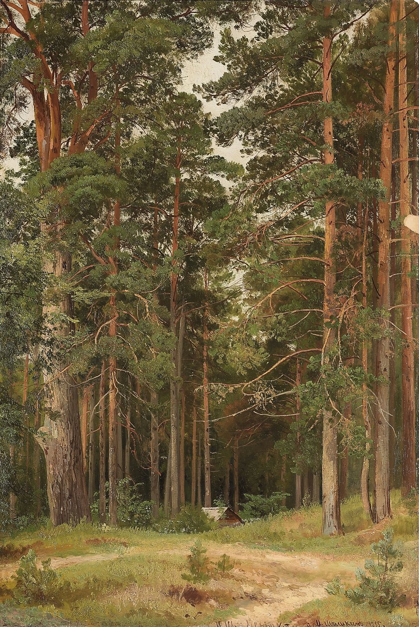 A Summer Day, Merikiul by Ivan Ivanovich Shishkin