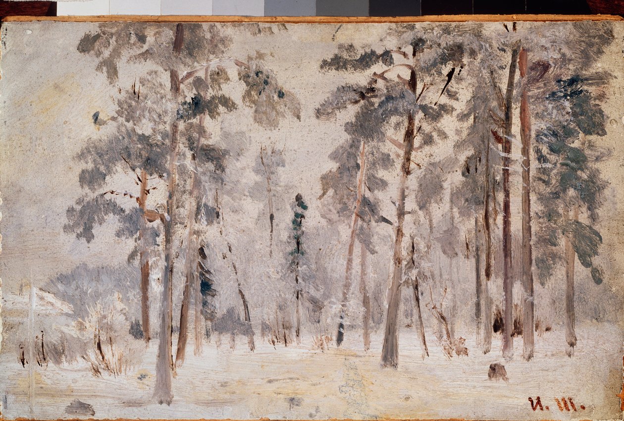Hoarfrost by Ivan Ivanovich Shishkin
