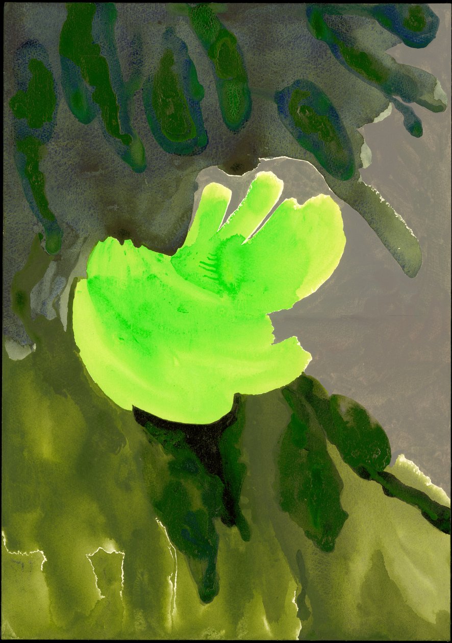 Kensington Gardens Series: Leaf Cascade by Izabella Godlewska de Aranda