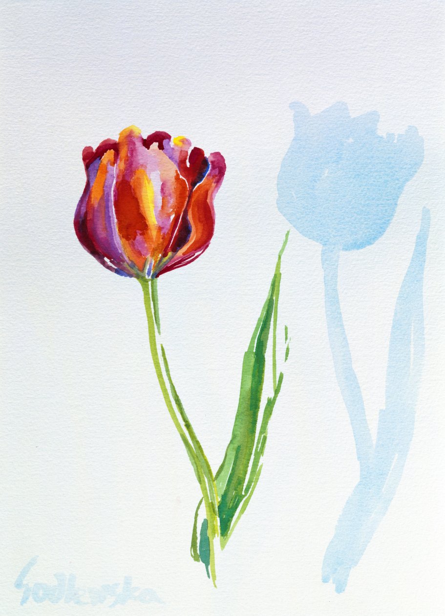 Tulip, 1998 by Izabella Godlewska de Aranda