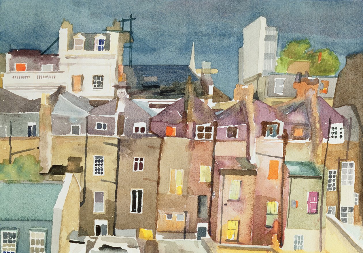 View from Rear Window of 48 Chester Square, SW1, 1982 by Izabella Godlewska de Aranda