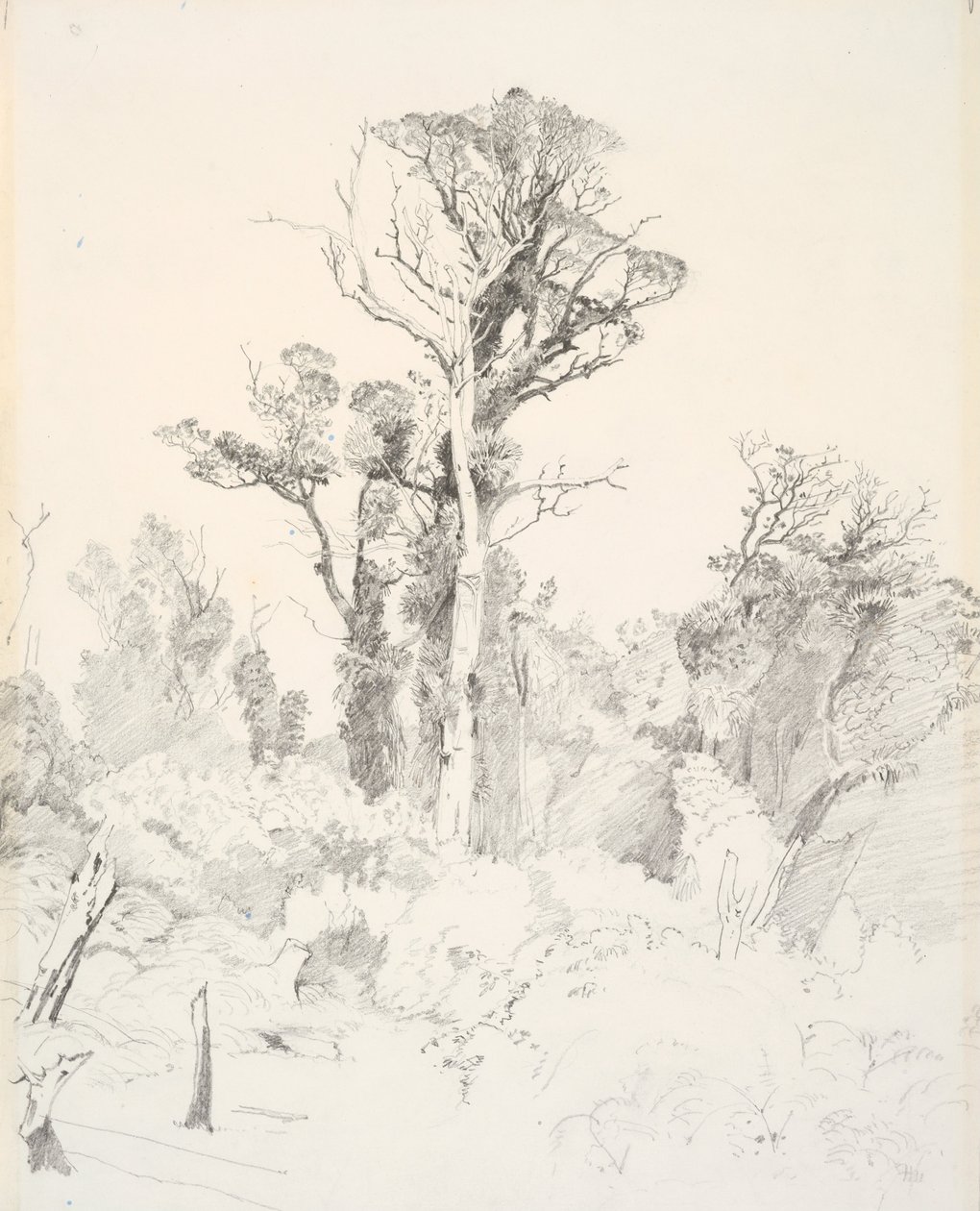 Detribalized Natives, Taranaki by J. C. Richmond