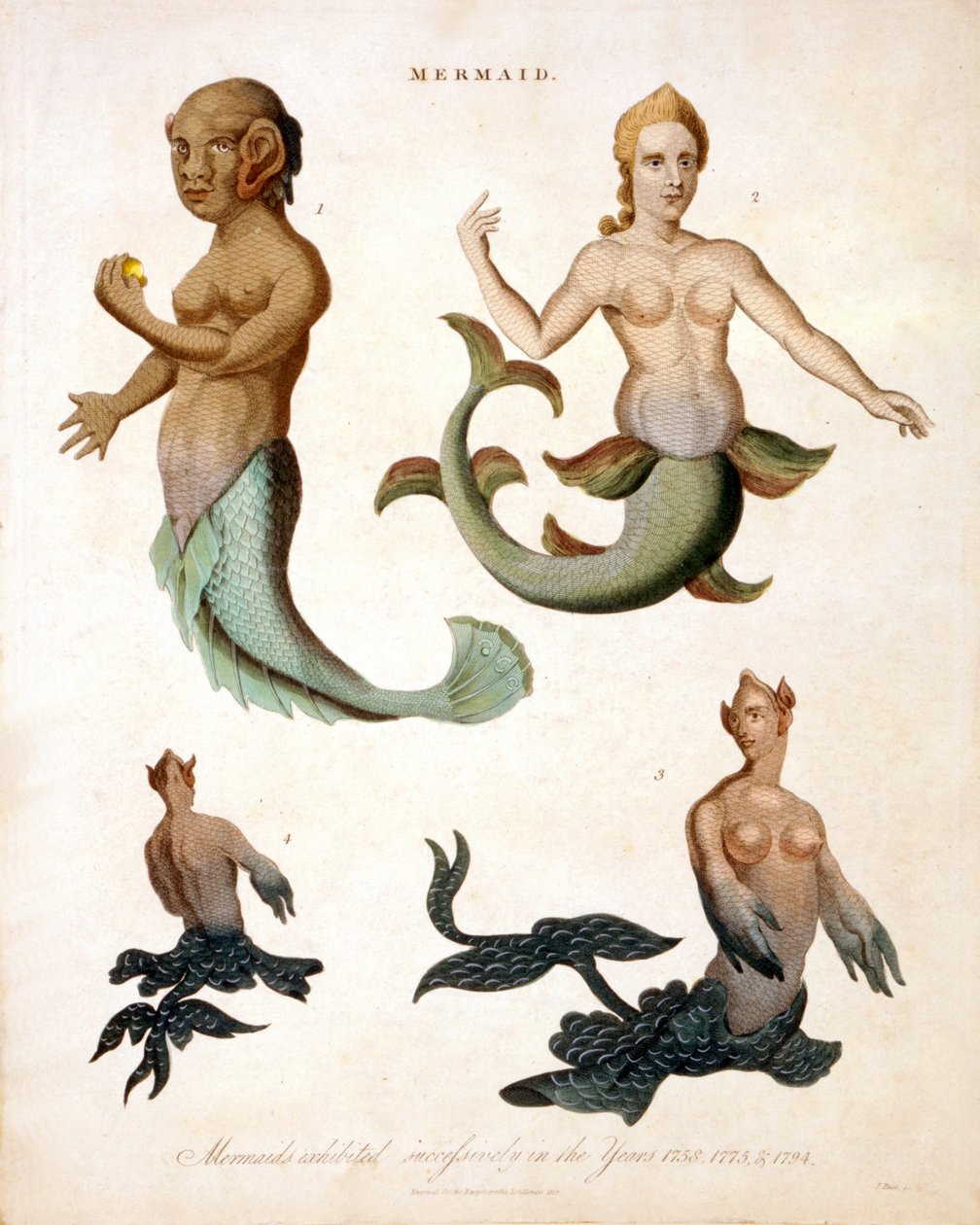 Mermaid, from Encyclopaedia Londinensis by J. Pass