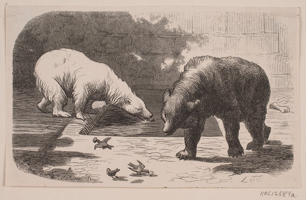 Bears in Jardin des Plantes by J.C. Nielsen