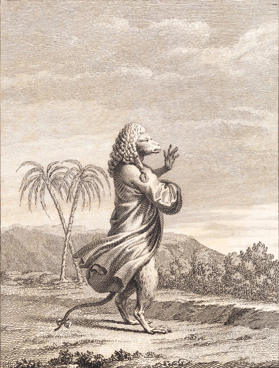 A Martinique Monkey by J.F. Clemens