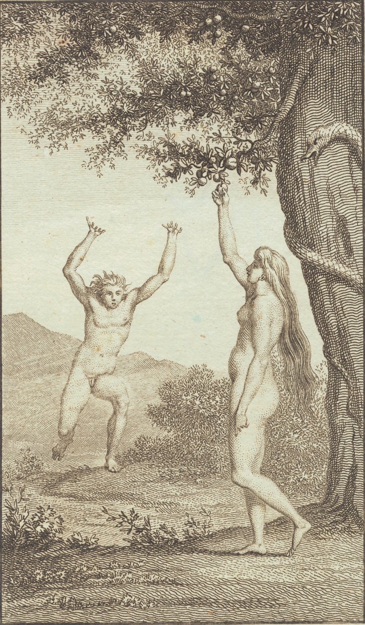 Illustration to Ewald